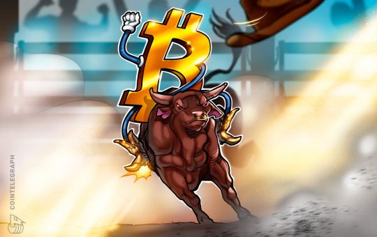 Bitcoin dominance on the rise once again as crypto market rallies