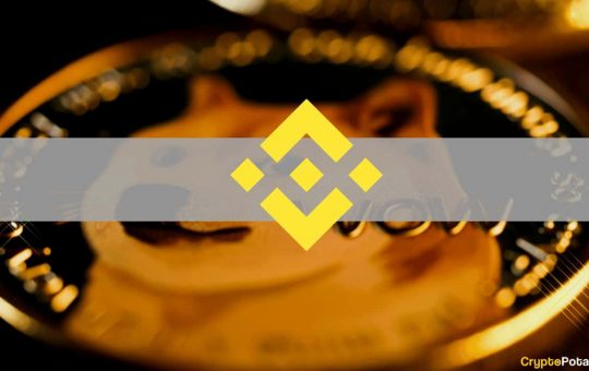 Binance Reportedly Requested Users to Return Dogecoin Received After Latest Update