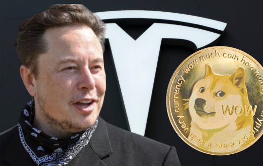 Dogecoin Soars After Elon Musk Says Tesla Will Accept DOGE
