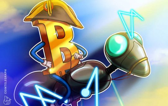 Bitcoin price surges to $43K, but traders warn that ‘real pain’ is due for altcoins