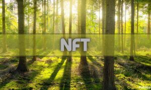 Binance Partners With K-Pop Leader to Work on Creating Eco-Friendly NFTs