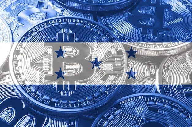 Honduras Will Not Adopt Bitcoin as Legal Tender, Central Bank Implies