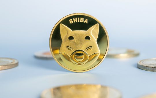 The Number of SHIB Holders Shudders in 3 Days, Shiba Inu Slid 17% in Value Last Month