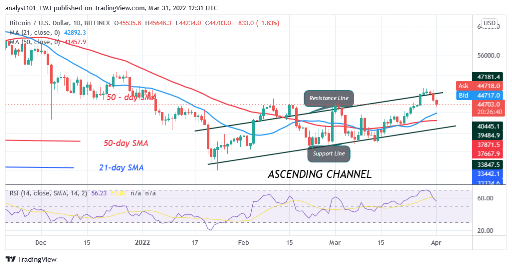 Bitcoin (BTC) Price Prediction: BTC/USD Fluctuates Between $45K and $48K as Bitcoin Holds Above $45K