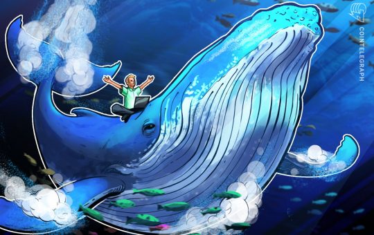 Solend invalidates Solana whale wallet takeover plan with second governance vote