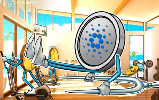 Cardano Vasil hard fork hit with another delay for several weeks