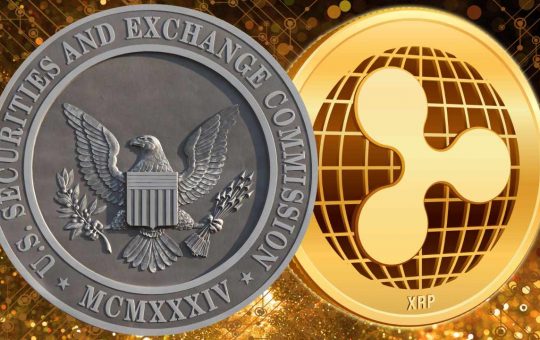 Ripple CEO Discusses Potential Outcomes of SEC Lawsuit Over XRP