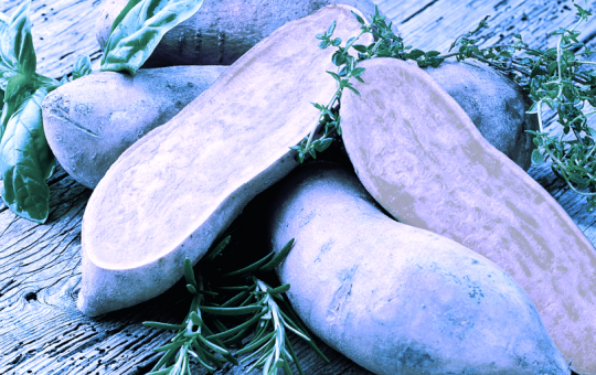 Yam Finance Safeguards $3.1M Treasury From Governance Attack