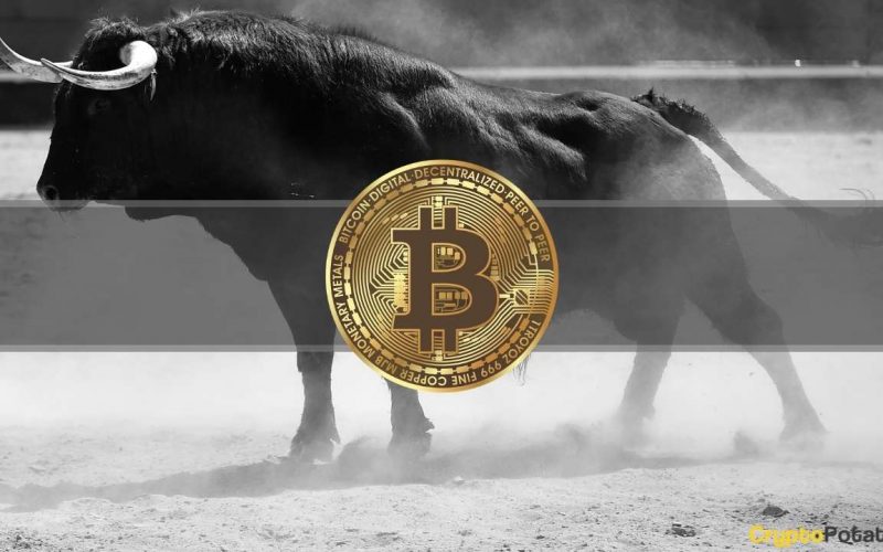 Bitcoin's Next Bull Run to Come in 2024, Predicts Morgan Creek's Mark Yusko