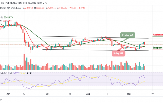 BTC Couldn’t Hit $23,000 Resistance as Buyers Strongly Prefer TAMA