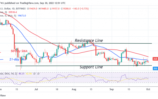 Bitcoin Price Prediction for Today September 30: Btc Price Holds above $19K as Buyers Recoup