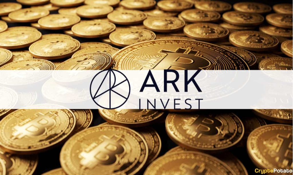 Here's Why ARK Invest Analyst Maintains Bitcoin at $1 Million Prediction