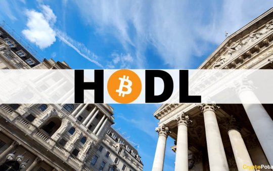 Long-Term Bitcoin Holders Have Amassed Over 75% of BTC