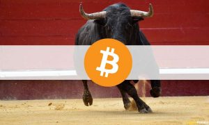 The Long-Term Bull Case for Bitcoin (Opinion)