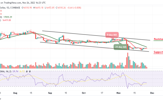 Bitcoin Price Prediction for Today, November 26: BTC/USD May Experience Another Drop Below $16,500