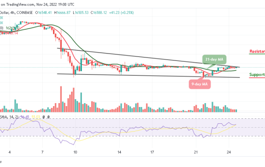 Bitcoin Price Prediction for Today, November 24: BTC/USD Price Could Slide to $16,000 Support
