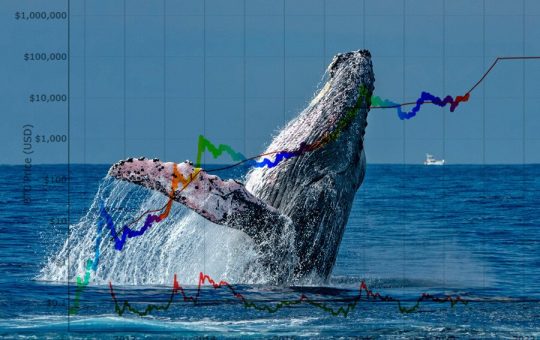 Crypto Whales Say These Altcoins are Poised for Explosive Growth – Here’s Why