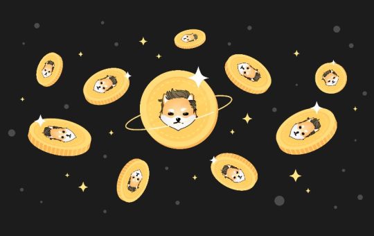 Dogelon Mars (ELON/USD). What's up with the meme coin now attracting a huge following?