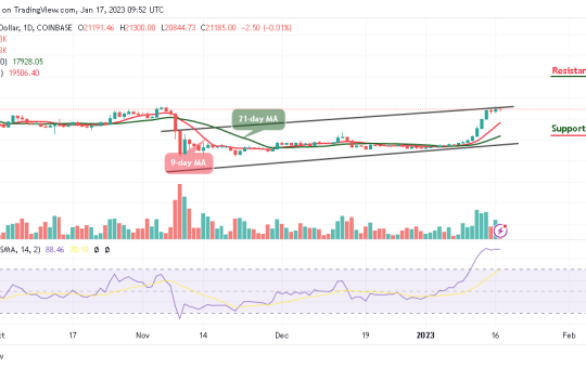 Bitcoin Price Prediction for Today, January 17: BTC/USD Could Hit $22,000 Level
