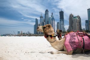 UAE Minister Says Crypto Will Play a "Major Role for UAE Trade Going Forward"