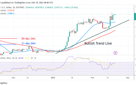 Bitcoin Price Prediction for Today, February 19: BTC Price Recovers as It Re-Enters the $25K Barrier Level