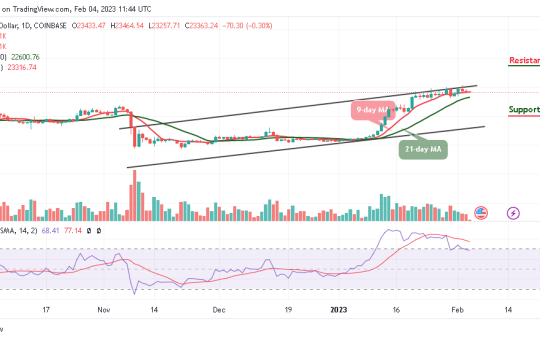 Bitcoin Price Prediction for Today, February 4: BTC/USD Resumes Consolidation, Will it Plunge Below $23K?