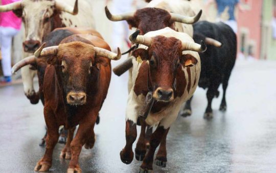 Next Crypto Bull Run Will Start From the East, Says Gemini Co-Founder