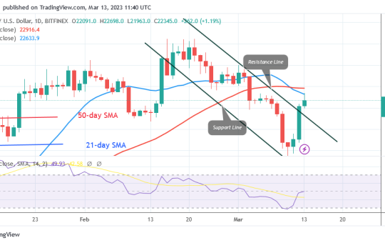 Bitcoin Price Prediction for Today, March 13: BTC Price Rebounds as It Advances to the High $22.4K
