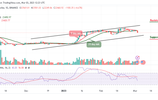 Bitcoin Price Prediction for Today, March 3: BTC/USD Heads to the South; Price Could Hit $23k Support