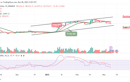 Bitcoin Price Prediction for Today, March 5: BTC/USD May Revisit the $21,000 Support