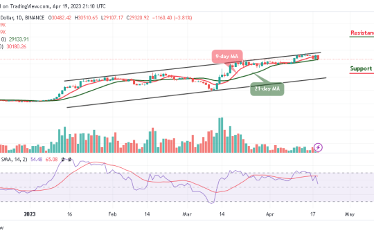 Bitcoin Price Prediction for Today, April 19: BTC/USD Likely to Slide Below $29,000 Support