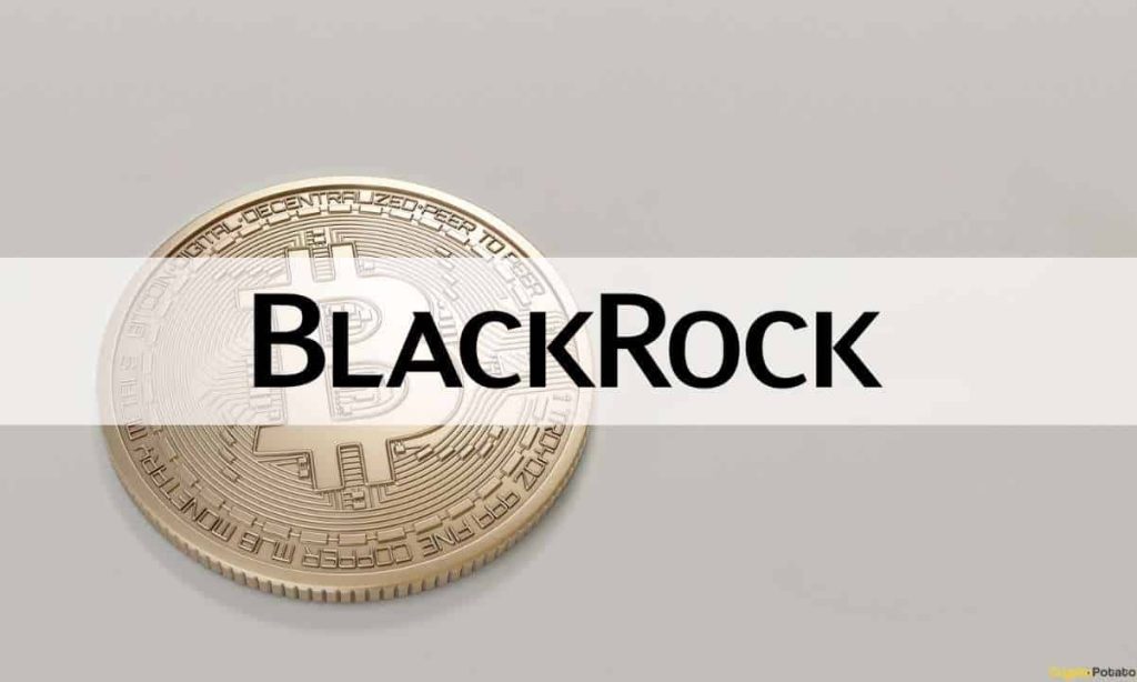 Institutional Adoption of DeFi is 'Many Years Away,' Says BlackRock Executive
