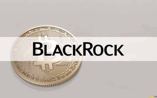 Institutional Adoption of DeFi is 'Many Years Away,' Says BlackRock Executive
