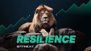 Bitfinex’s Market Prowess: A Game-Changer in the World of Crypto Volatility