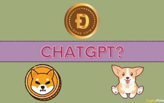 We Asked ChatGPT Which Will be the Biggest Meme Coin in 2024? BONK, SHIB, DOGE, or Something Else?