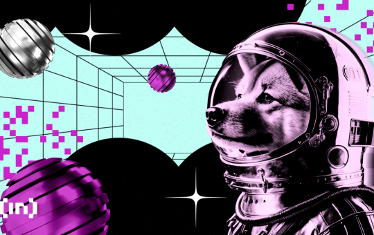 Meme Coins Go Wild: What Will Happen to Dogecoin, Shiba Inu, and BONK?