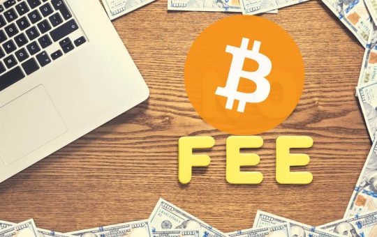 Somebody Just Lost $170,000 In BTC Transaction Fee