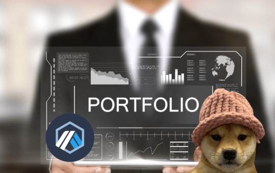 NuggetRush, Dogwifhat, or Arbitrum: Which coins should you add to your portfolio?