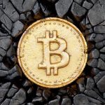 This Week in Coins: Bitcoin Battered But Rebounds As Meme Coin Mania Abides